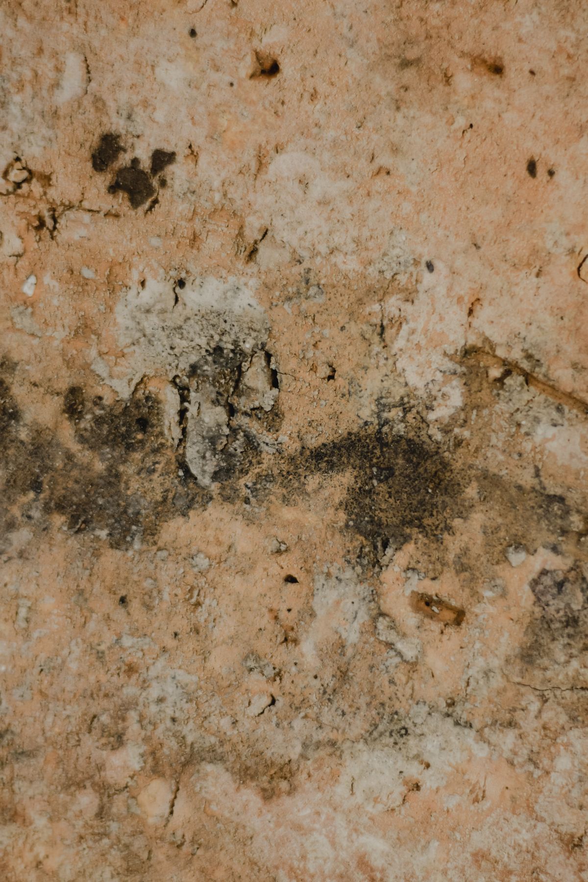 Mold & Air Quality Inspection Report 3